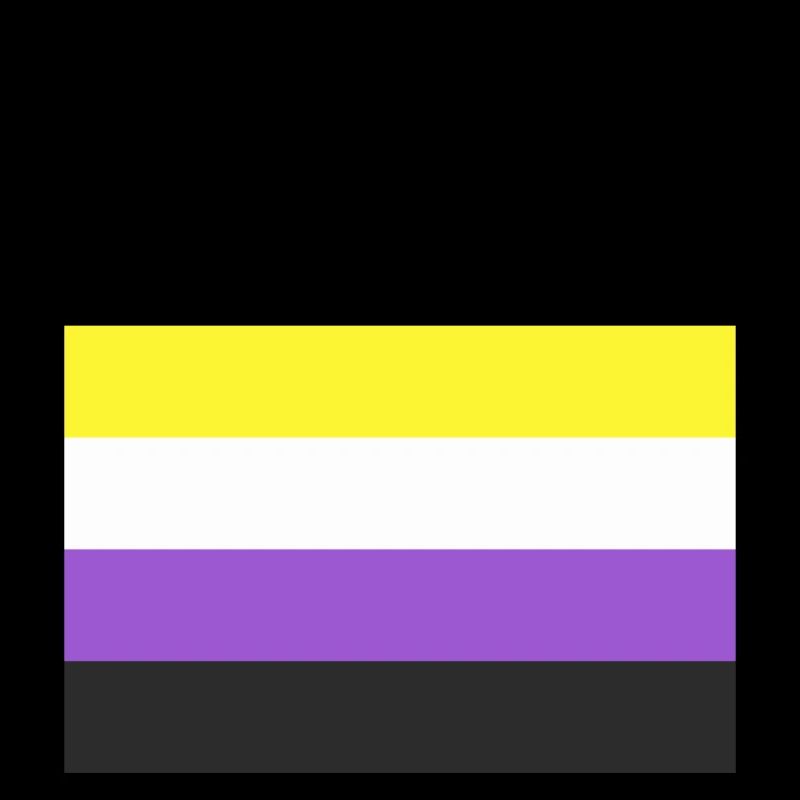 Non Binary NB Pride