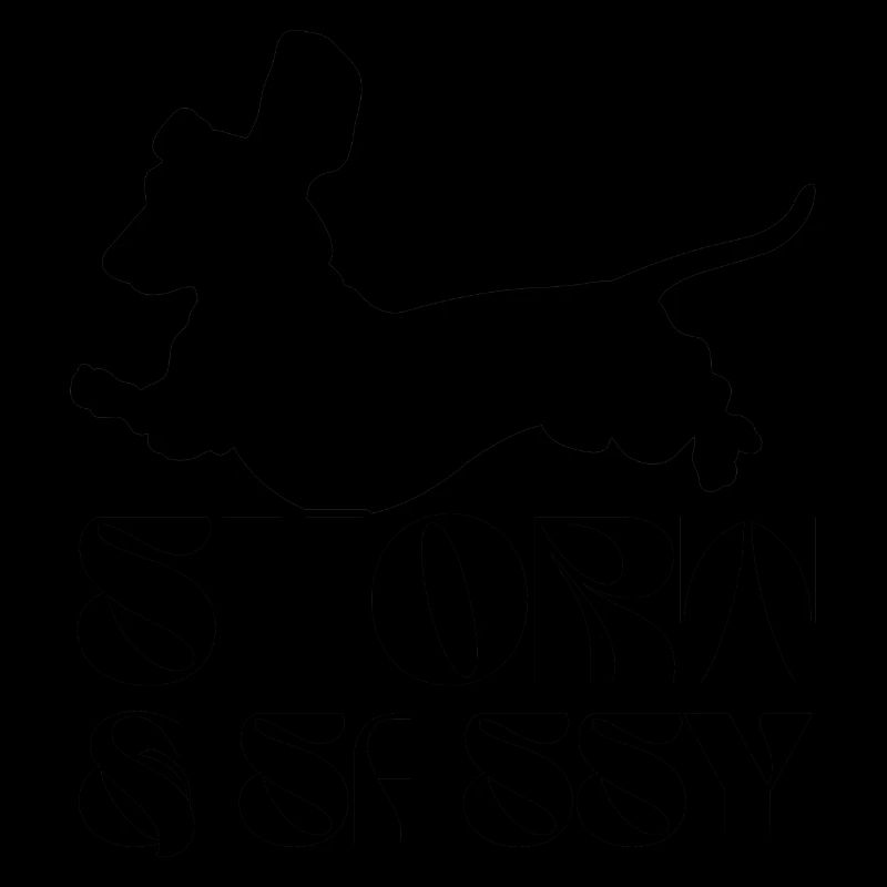 Teckel Chien Teckel Race de chien Teckel