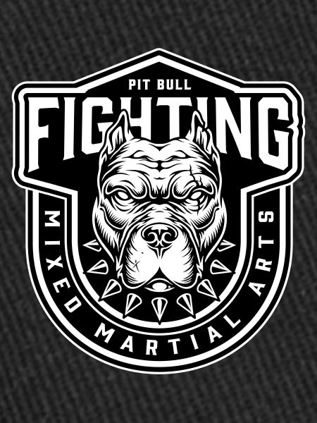 Fighting mma