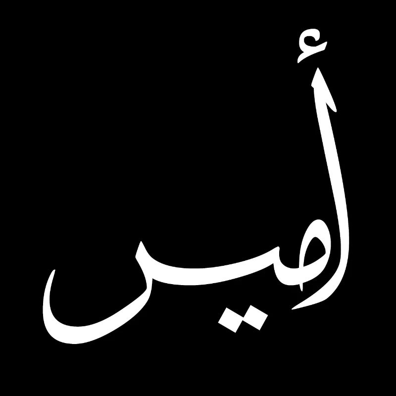 Amir Arabic Calligraphy First Name
