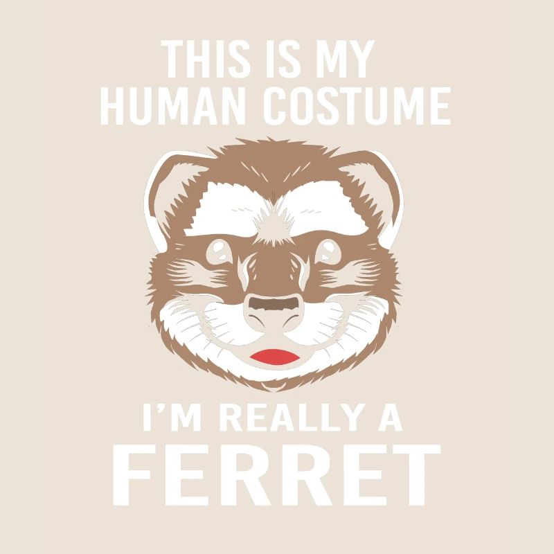 Furet