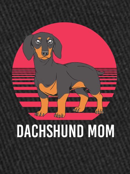 Dachshund
