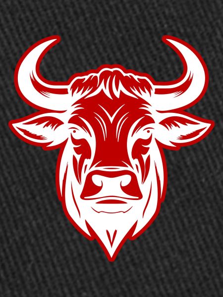 Bull Head Taurus