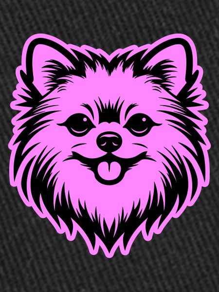 Pomeranian Dog Head