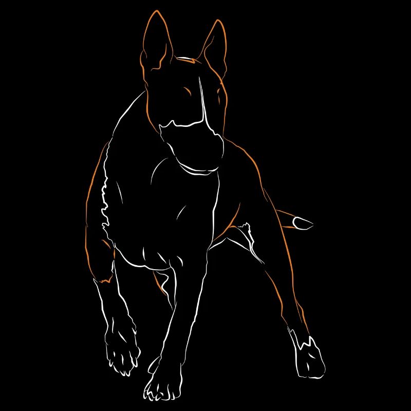 Bullterrier Hund