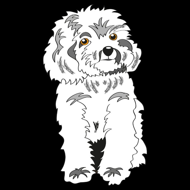 Caniche blanc