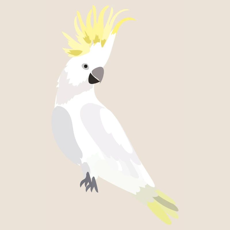 Perroquet cacatoès blanc