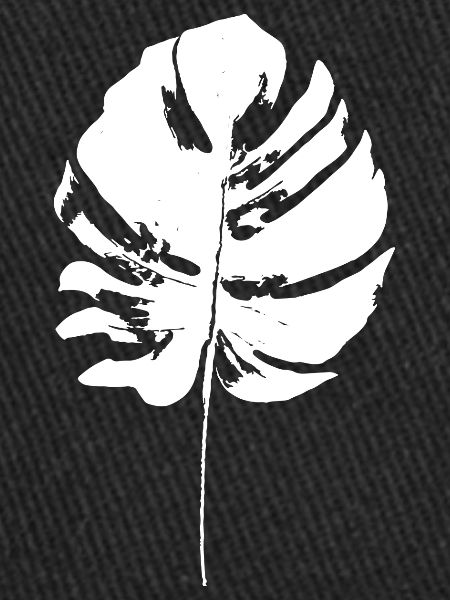 monstera