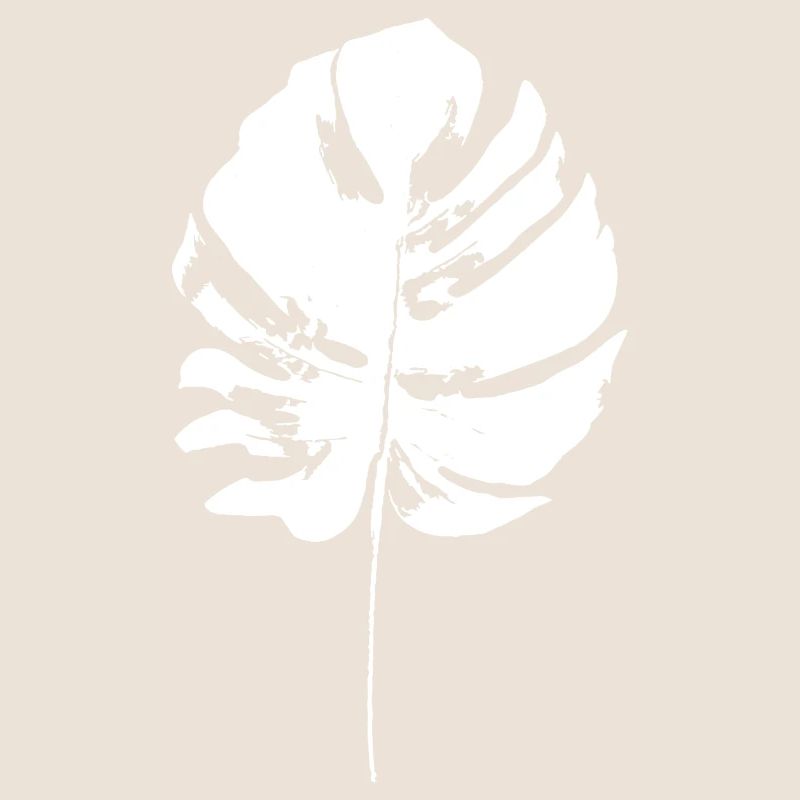 monstera