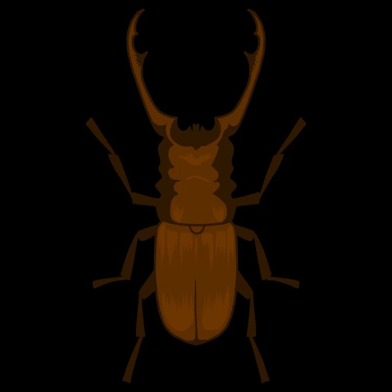 Hirschkäfer Lucanus cervus Schröter Insekt