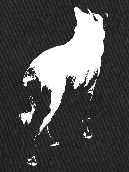 Husky stands shadow figure white