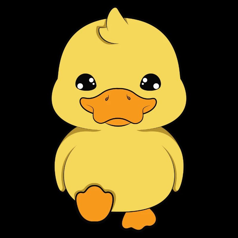 Canard canard