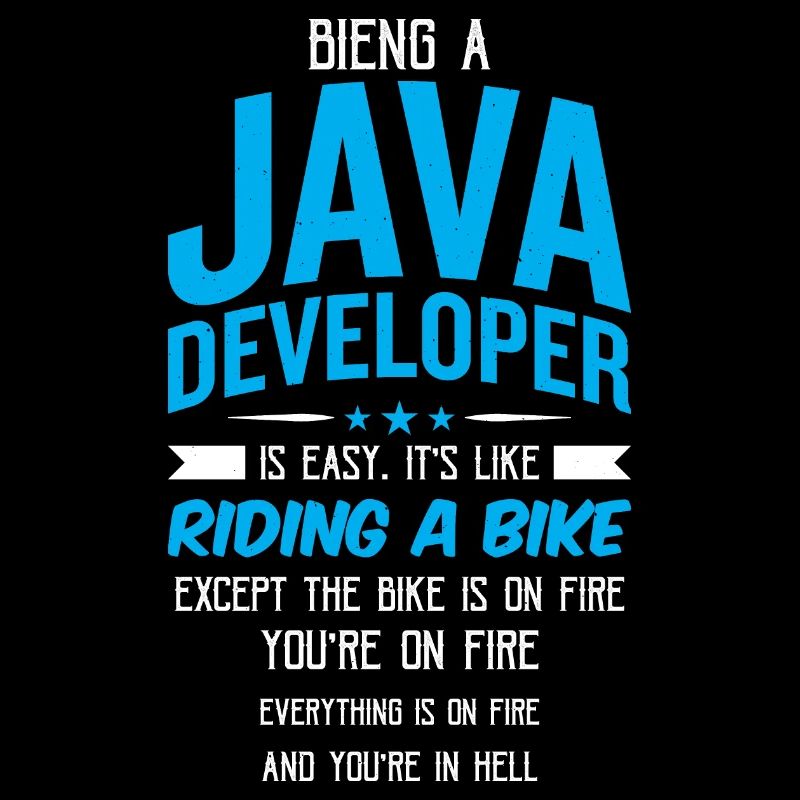 Java Developer