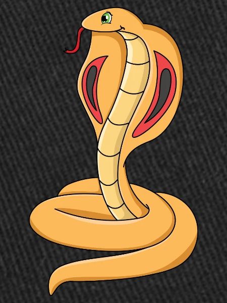 Cobra Snake
