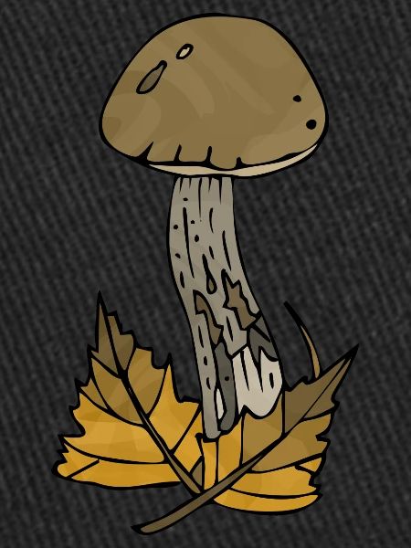 Champignon
