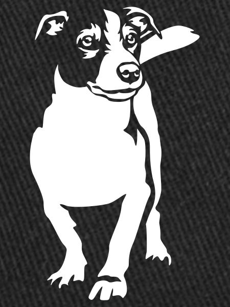 Jack Russell Terrier « Black Edition »