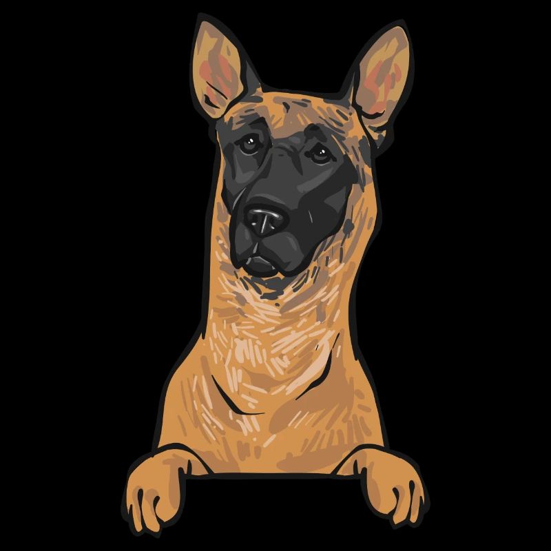 Malinois Belgian Shepherd Mechelaar Dog