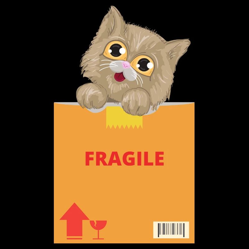 Curious Kitten on Fragile Package