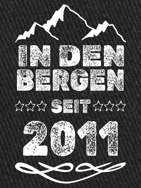 seit 2011