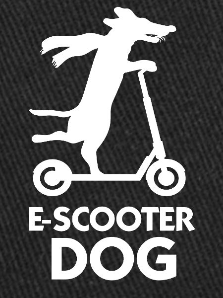 E-Scooter Roller Scooter