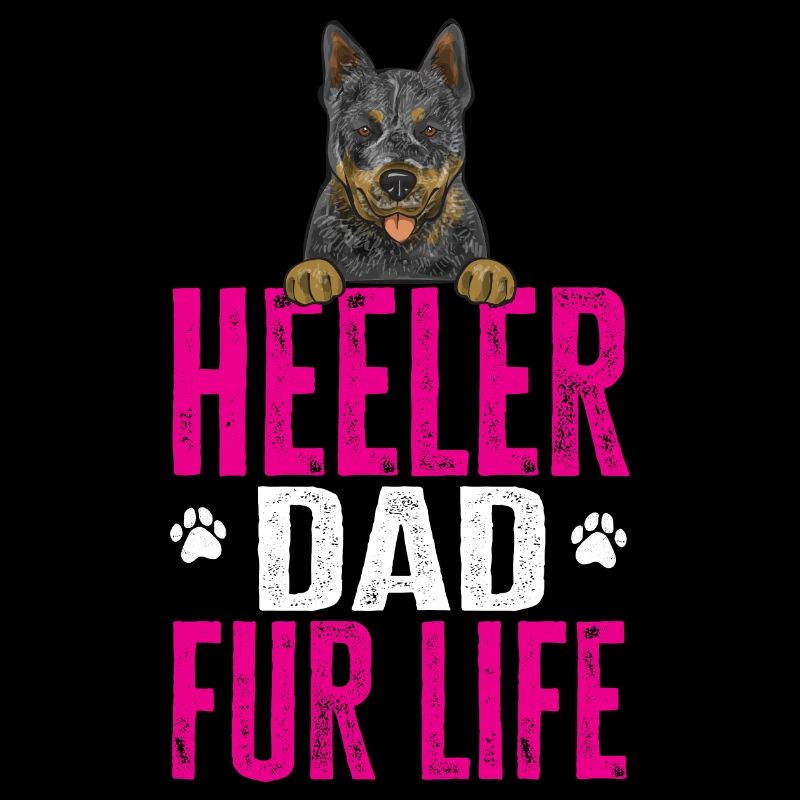 Bouvier australien Red Blue Heeler