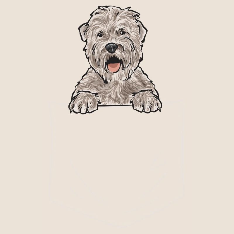 Terrier irlandais à enrobage doux