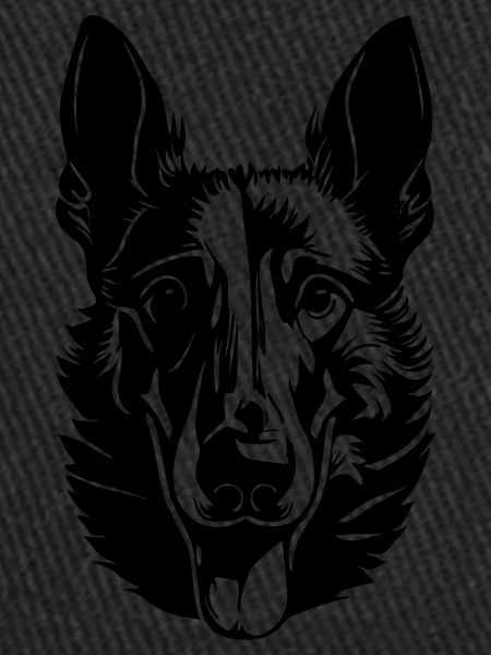 Belgian Shepherd