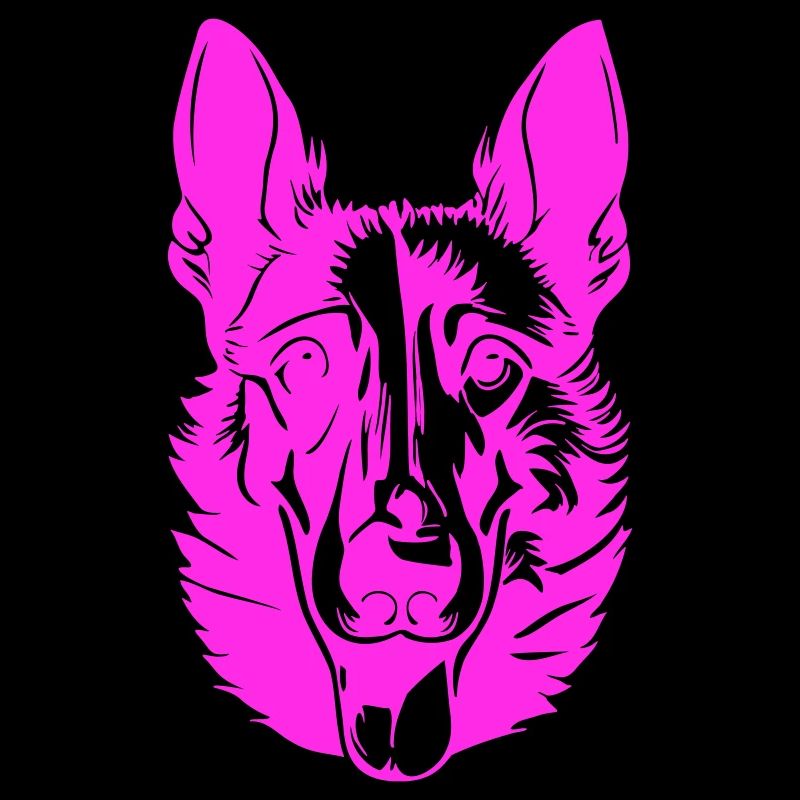 malinois