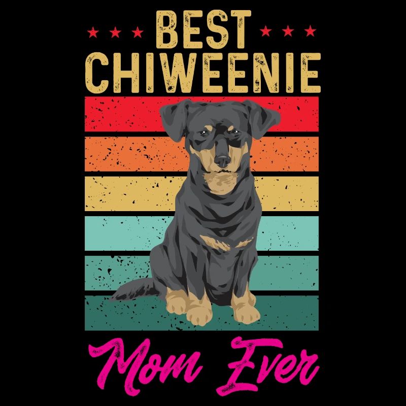 Chiweenie Dog
