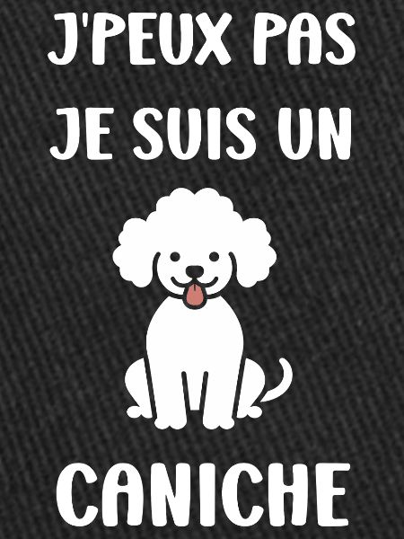 Humour chien petit caniche