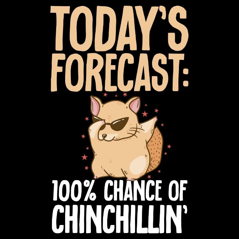 Chinchilla