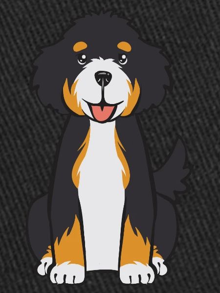 Bernedoodle Dog