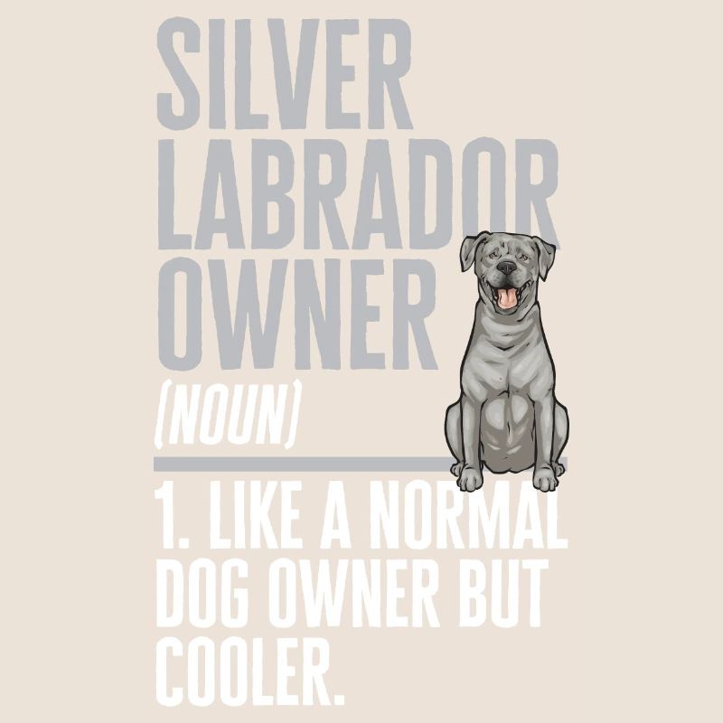 Silver Labrador Retriever Silver Lab