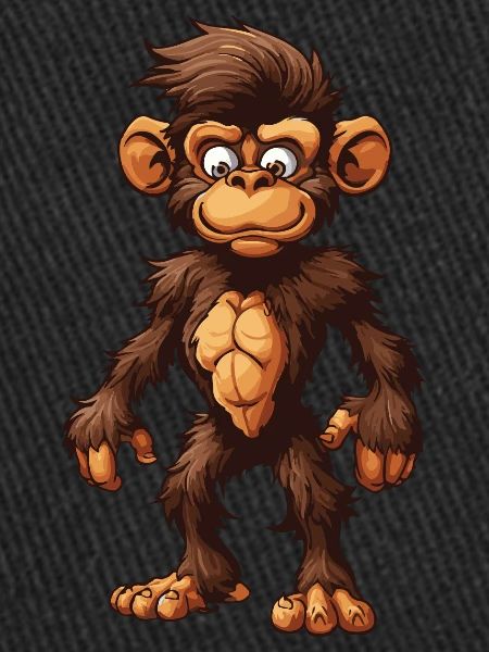 Monkey Animal