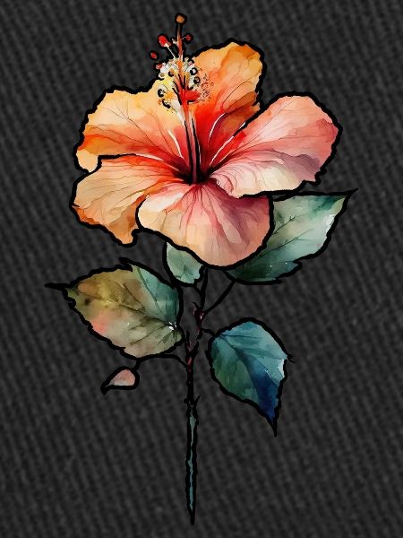 Hibiscus