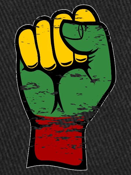 Lithuania flag fist used
