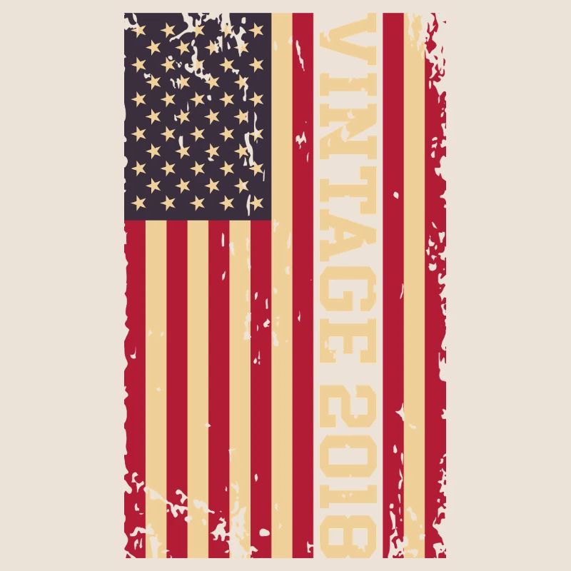 Vintage 2018 US Flag