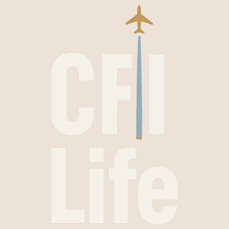 Flight Instructor Cfi Pilot Aviation Instructor