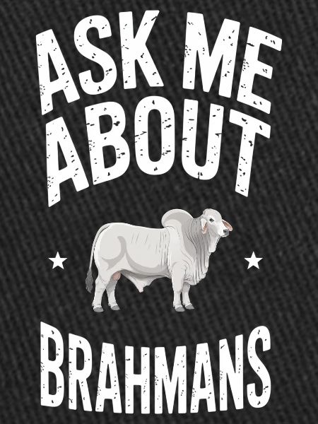 Don des vaches Brahman
