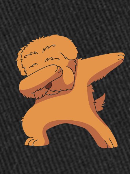 Chow Chow Chien