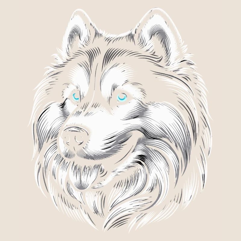 Siberian husky