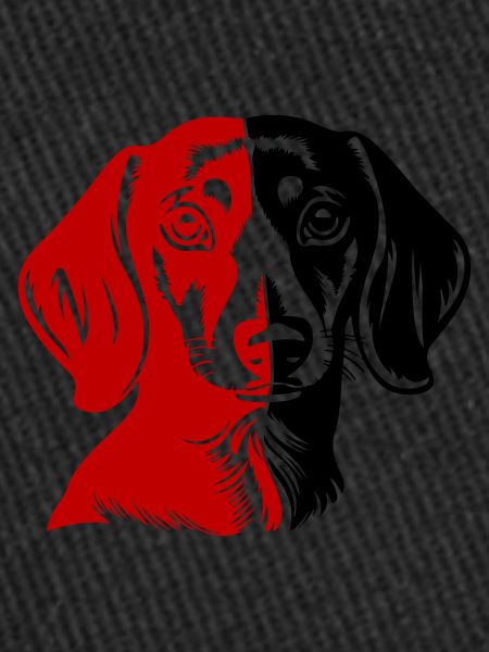 Teckel tête de chien teckel
