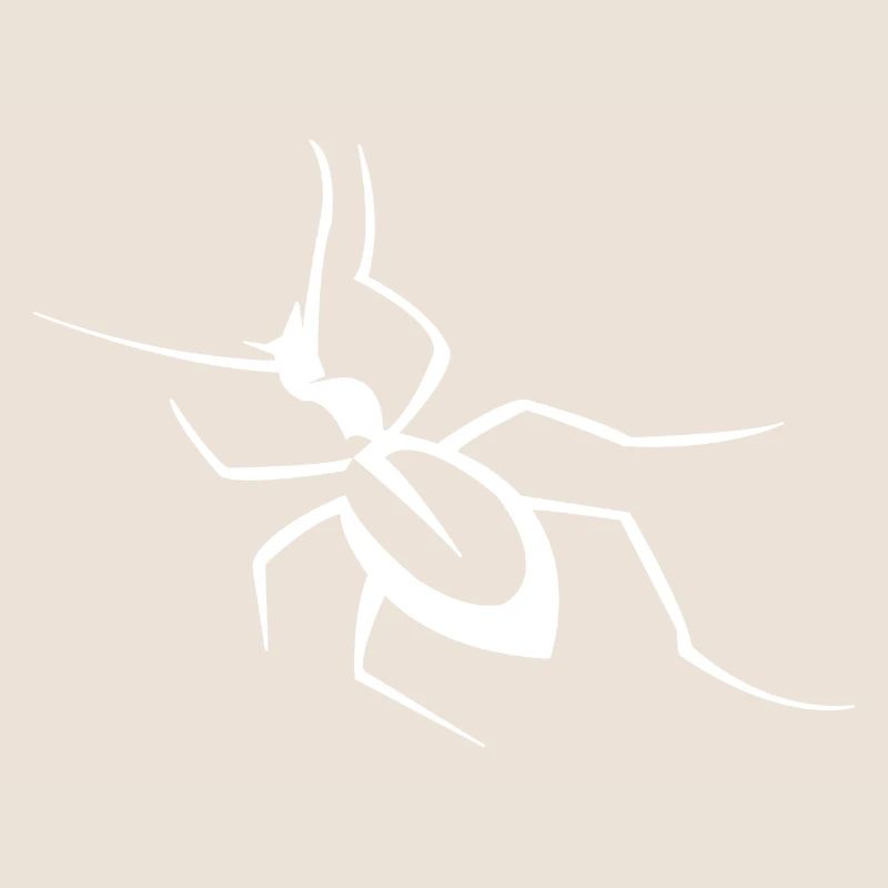 Insecte