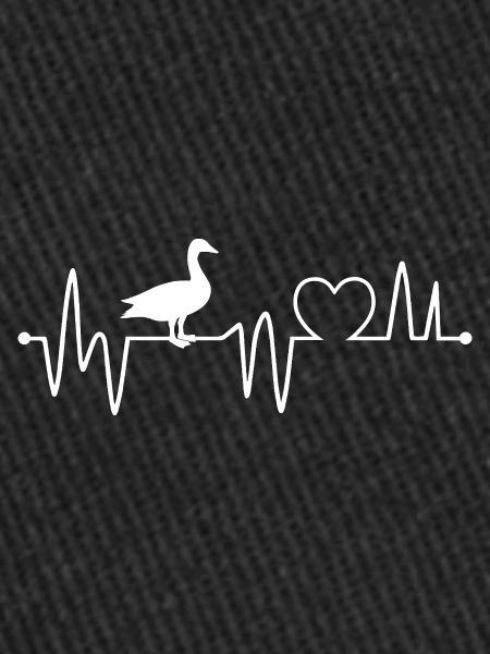 Ducks