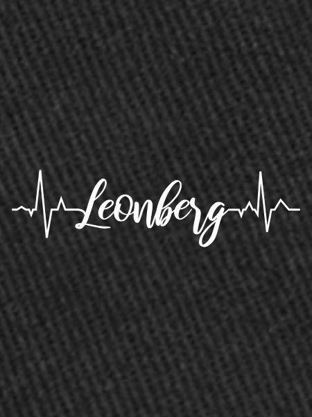 ECG Leonberg