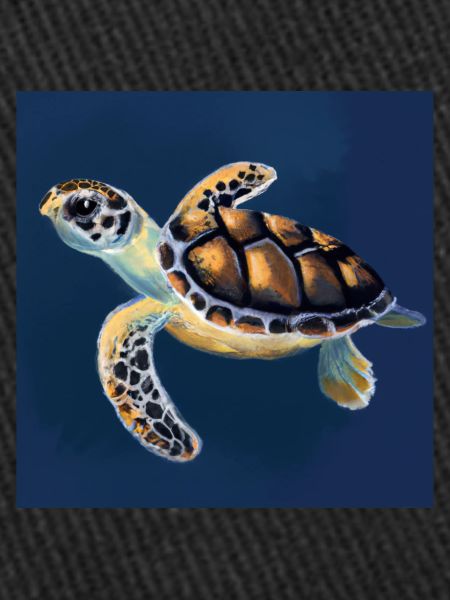 Tortue de mer