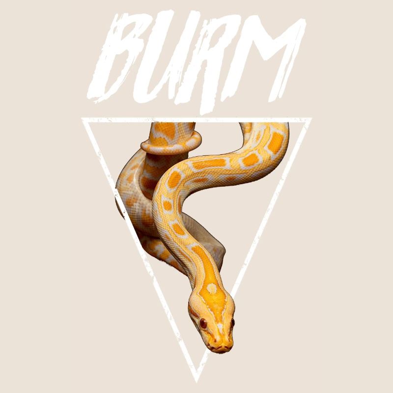 Albino Birmese Python Snake Owner