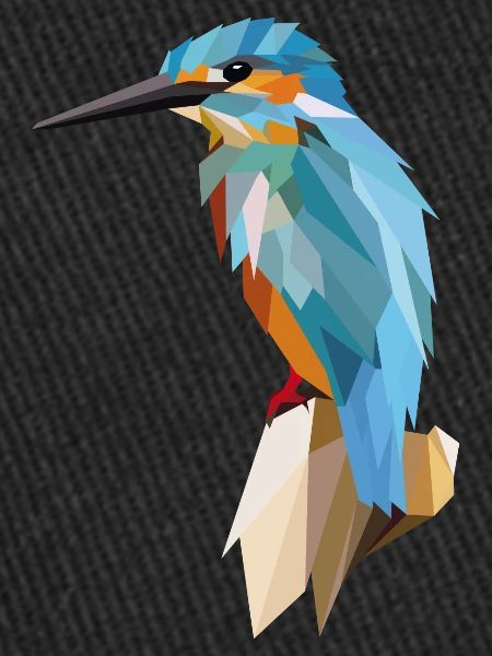 Kingfisher Polygon