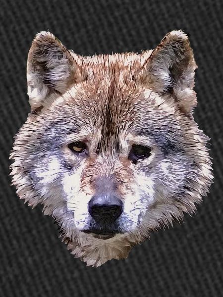BERIX WOLF Tête