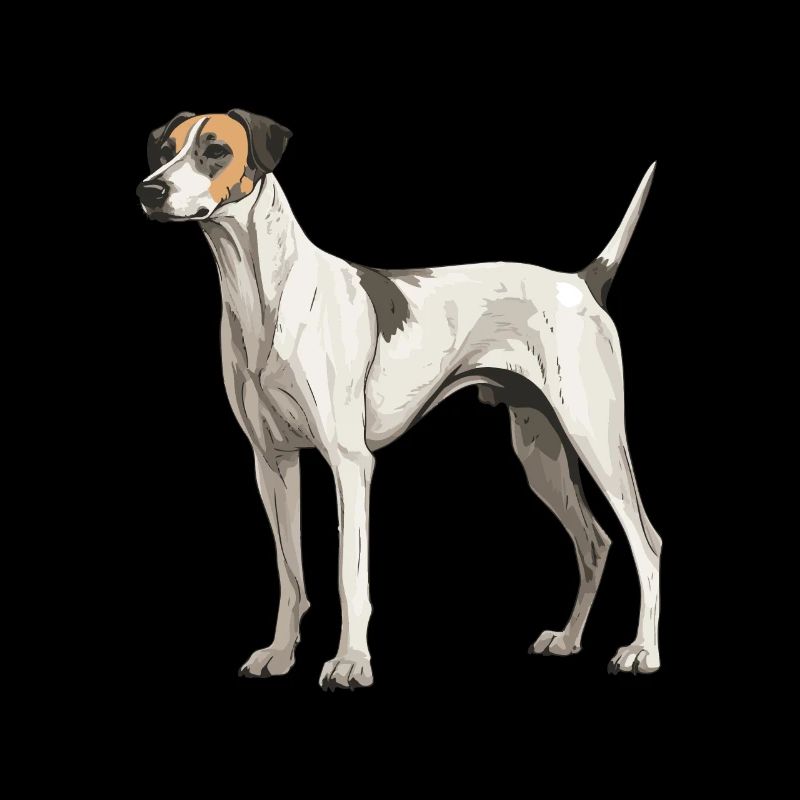 Lévrier chien animal